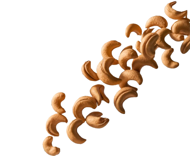 castanhas_02.png